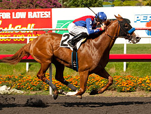 Ontem, em Hollywood Park, o Swaps Stakes (G2) foi de Blueskiesnrainbows