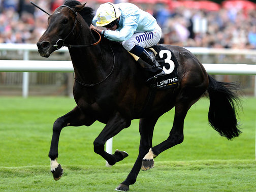 Na última prova graduada de Newmarket, hoje, vitória de Fiorente