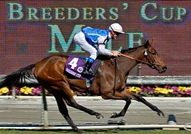 Zenyatta e Goldikova agora são provas de Grupo em Santa Anita