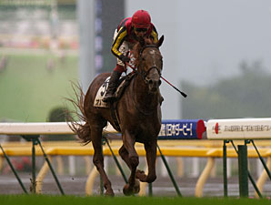 Orfevre e Soumillon, uma nova dupla para o Arc 2012