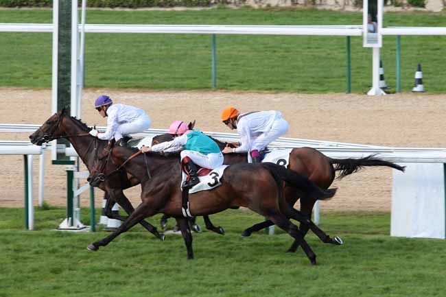 Em Deauville, os 2.000m do Prix de Psyché (G3) foram de Leaupartie