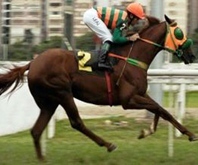 Stud Alvarenga compra Viewfinder, que já correrá o GP Brasil (G1) para a nova farda