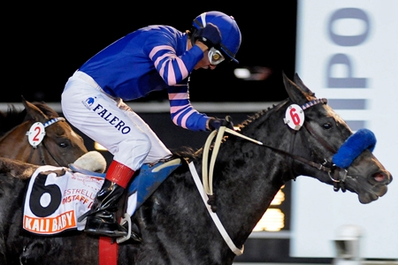 Carreras de las Estrellas em Palermo – IV