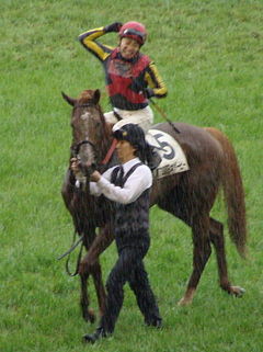 Orfèvre já está em Chantilly