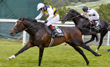 Hoje, em Goodwood, quatro provas de Grupo