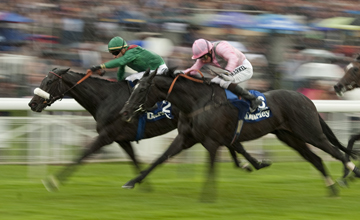 As cores do Aga Khan brilham no Yorkshire Oaks (G1), através de Shareta