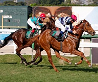 Antonella Baby atropela forte para levar o GP João Adhemar e Nelson de Almeida Prado (G3)