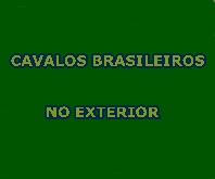 Animal de criação do Haras Anderson entra 5º em G1 nos EUA