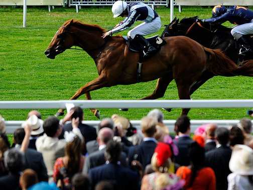 O Desmond Stakes (G3), em Leopardstown, foi de Duntle