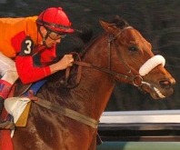 Sexta-feira com oito páreos no Hipódromo da Gávea