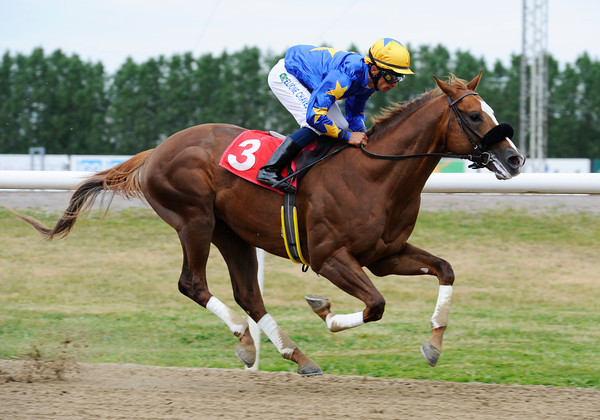 Brasileiro Energia Dust foi sexto em G2 em Baden-Baden