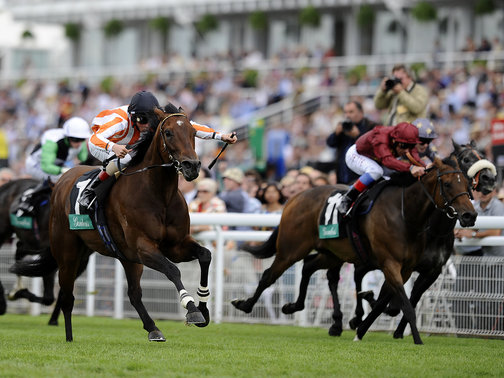 A australiana Ortensia brilhou hoje no Nunthorpe Stakes (G1), em York.