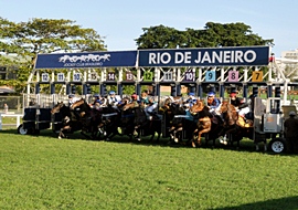 Onze páreos movimentam o sábado na Gávea