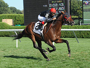 Em Saratoga, as cores da família Phipps brilham no Sword Dancer Invitational Stakes (G1)