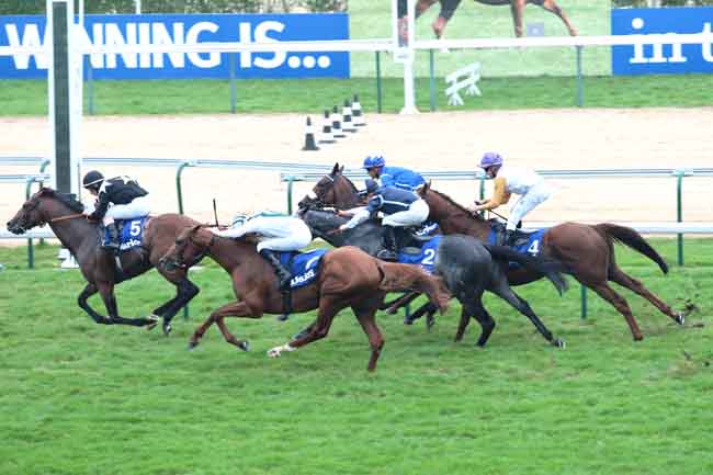 Nos 3.000m do Prix Kergolay (G2), vitória de Joshua Tree