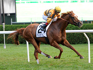 Em Saratoga, Wise Dan leva com facilidade o Fourstardave Handicap (G2)