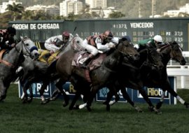 Um sábado de ouro no Hipódromo da Gávea