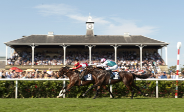 Toronado foi o herói do Champagne Stakes (G2)