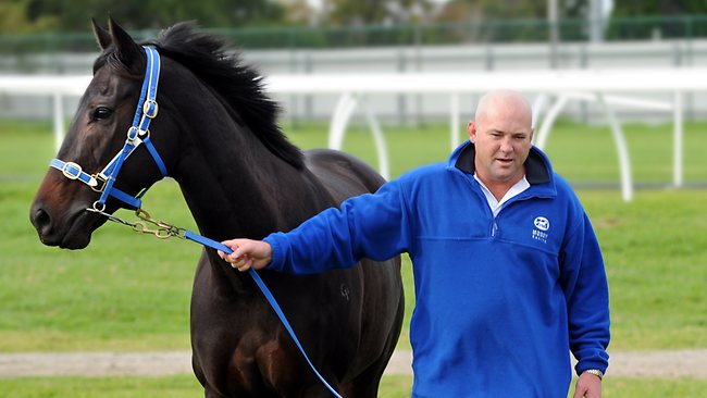 Black Caviar voltará a correr