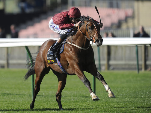 Em Newmarket, Havana Gold venceu o Tattersall Stakes (G3)