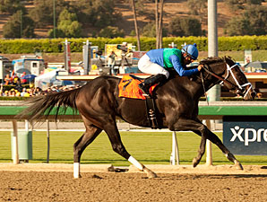 Love and Pride, criação americana do Stud TNT, venceu o primeiro Zenyatta Stakes (G1)