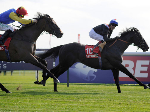 A Betfred Sprint Cup (G1), em Haydock, foi de Society Rock