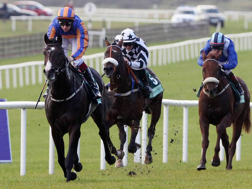 Os O’Brien vencem as duas provas graduadas de hoje em Curragh