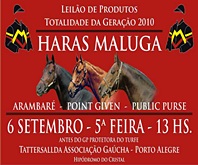 Leilão do Haras Maluga começa às 13 horas no Tattersall da Associação Gaúcha