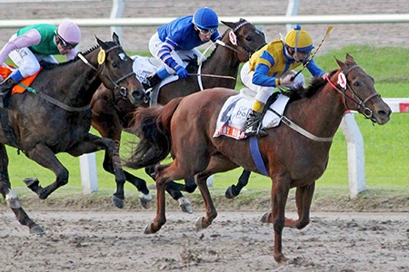 Candy Nevada, filha da brasileira Candy Sola, levanta o Gran Premio Polla de Potrancas (G1), com A.Domingos