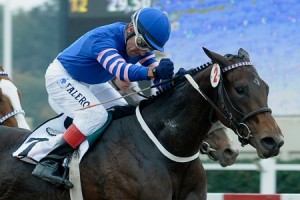 Dez correm o Gran Premio Polla de Potrancas (G1), em Palermo, no sábado