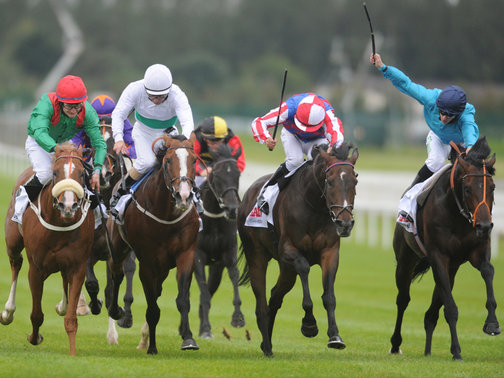 Hoje foi dia também do Irish St. Leger: vitória de Royal Diamond