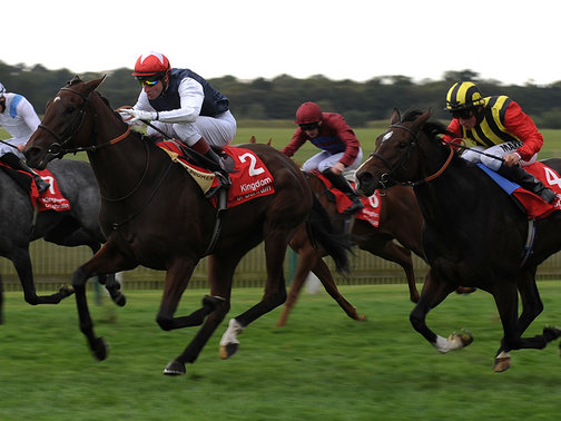 O Sun Chariot Stakes (G1) continua sendo um império francês, agora com Siyouma