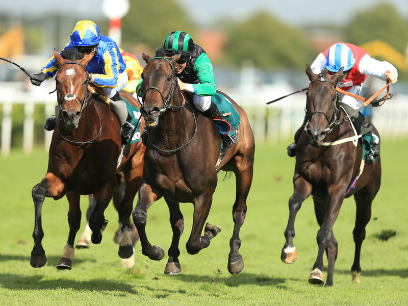 A Doncaster Cup (G2) foi de Times Up