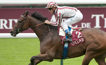 Cirrus des Aigles foi o grande imperador hoje de Longchamp