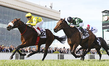 O francês Dunaden foi o campeão da Caufield Cup (G1)