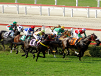 Simulcasting com SP terá corridas somente na sexta-feira e no sábado