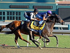 E as provas da Breeder’s Cup já têm seus campos