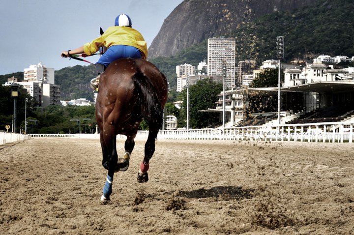 Confira os comentários de Celson Afonso para as corridas de hoje, na Gávea