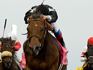 Na grande festa canadense de hoje, Joshua Tree voltou a brilhar no Canadian International Stakes (G1)