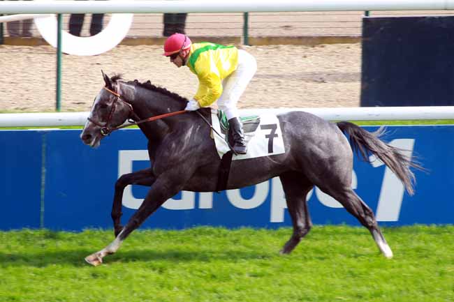 Filho de Holy Roman Emperor dá show no Prix de Condé (G3), em Longchamp