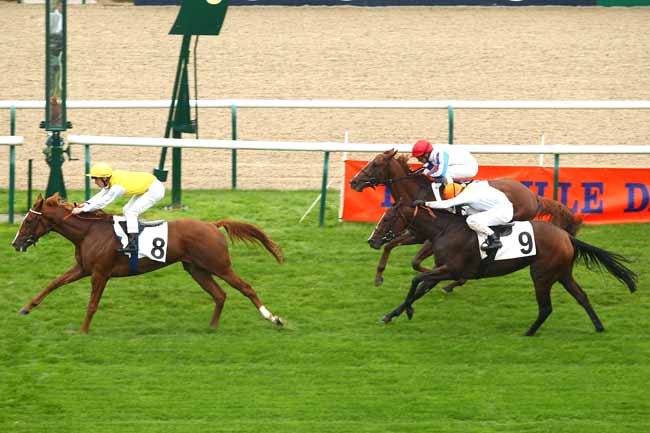 Filho da brasileira Indochine tira segundo numa listed em Chantilly