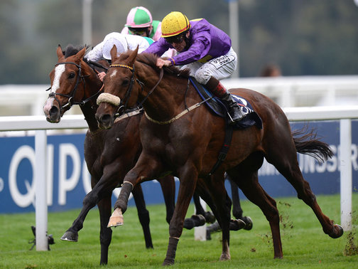 Rite of Passage e Maarek abrem o Festival de Ascot