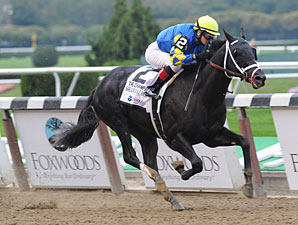 Shanghai Bobby, favorito da Breeder’s Cup Juvenile, é agora metade da Coolmore