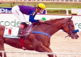 Stockholder brilha absoluto no GP Paraná (G1)