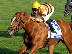 Wise Dan vence Shadwell Turf Mile Stakes (G1), em Keeneland