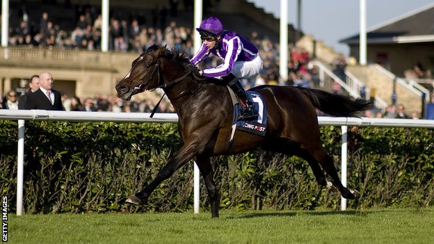 Camelot já de volta à Coolmore