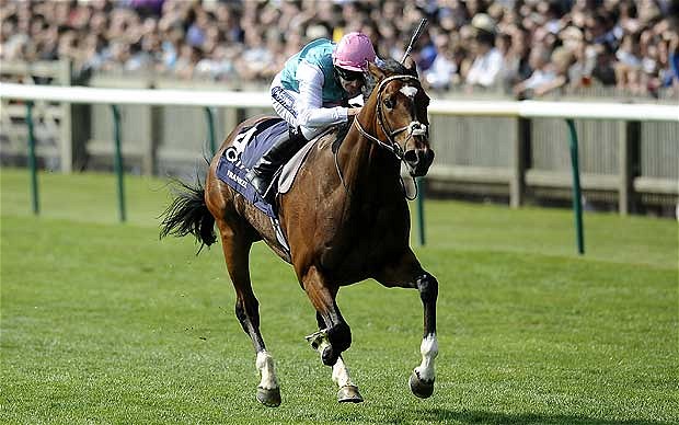 Frankel e Black Caviar, um cruzamento mais do que possível