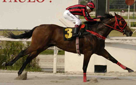 As inscrições da jornada do Gran Premio Jockey Club (G1), dia 13, em San Isidro