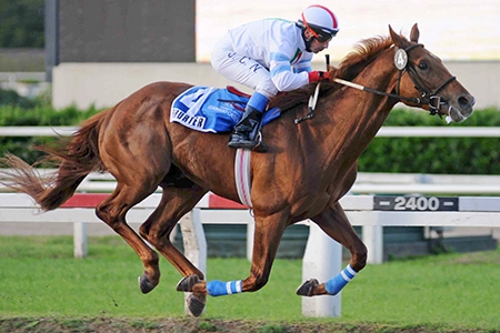 Fhurter vence em grande estilo teste para o Gran Premio Nacional (G1)