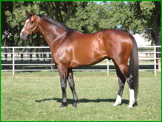 Filho de Redattore vence em Santa Anita e o de Leroidesanimaux chega em terceiro